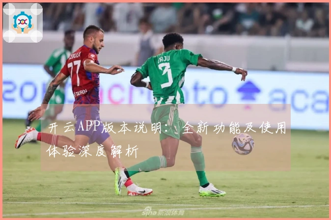 开云APP版本说明：全新功能及使用体验深度解析
