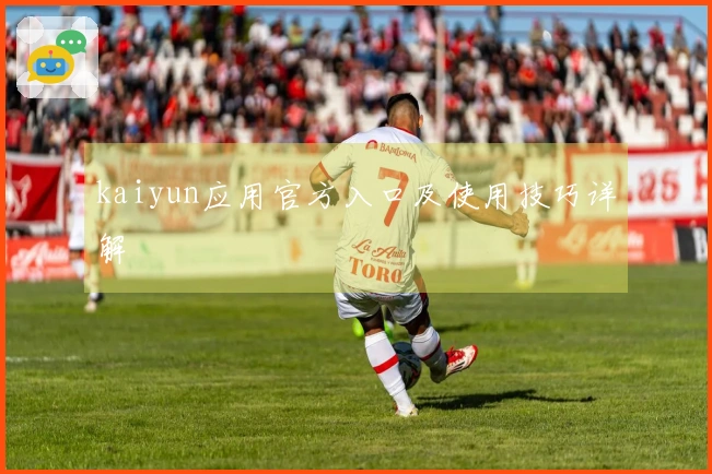kaiyun应用官方入口及使用技巧详解